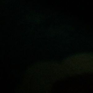 Meet your Posher, Sadie